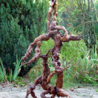 Espoir - hommage à Sarayaku