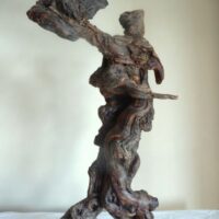 Saharienne - 2002
